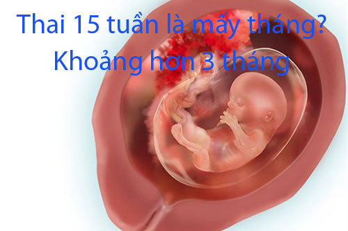 15 là bao nhiêu - Tìm Hiểu Chi Tiết và Hữu Ích