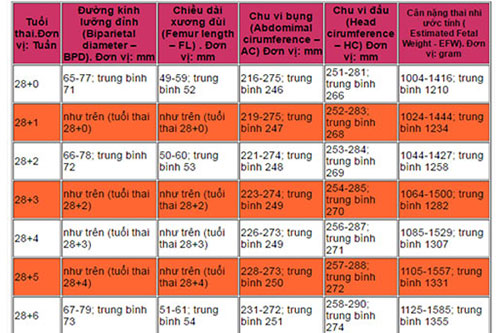 chi-so-sieu-am-thai-tuan-28 Chỉ số siêu âm thai tuần 28