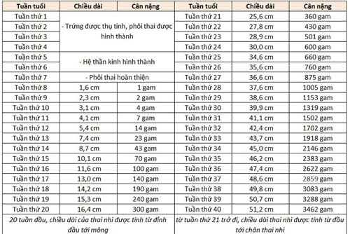 chi-so-thai-nhi-27-tuan Chỉ số thai nhi 27 tuần