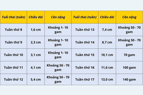 Số liệu cân nặng thai nhi tuần 14