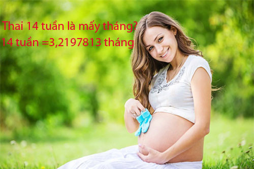 Thai 14 tuần là mấy tháng?