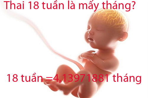 thai-18-tuan-la-may-thang Thai 18 tuần là mấy tháng?