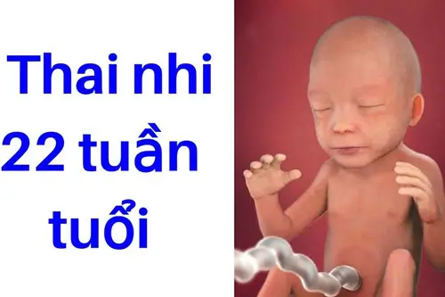 thai-22-tuan-la-may-thang Thai 22 tuần là mấy tháng?