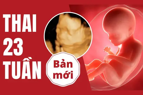 thai-23-tuan-la-may-thang Thai 23 tuần là mấy tháng, hình ảnh
