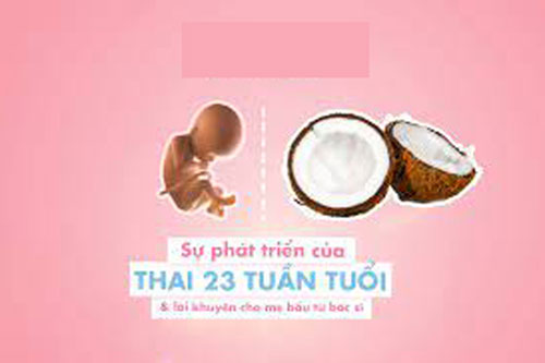 thai-23-tuan-phat-trien-nhu-the-nao Thai 23 tuần phát triển như thế nào?