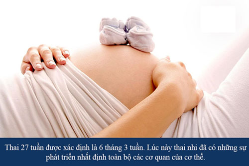 thai-27-tuan-la-may-thang Thai 27 tuần là mấy tháng