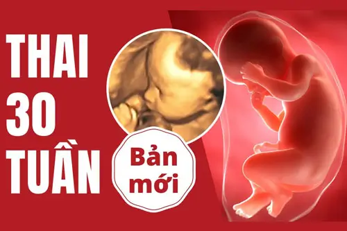 Thai 30 tuần là mấy tháng