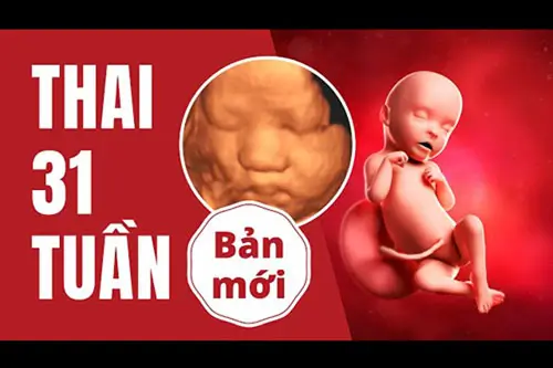 thai-31-tuan-la-may-thang Thai 31 tuần là mấy tháng