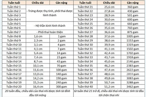 thong-tin-can-nang-thai-nhi-18-tuan-tuoi thong-tin-can-nang-thai-nhi-18-tuan-tuoi